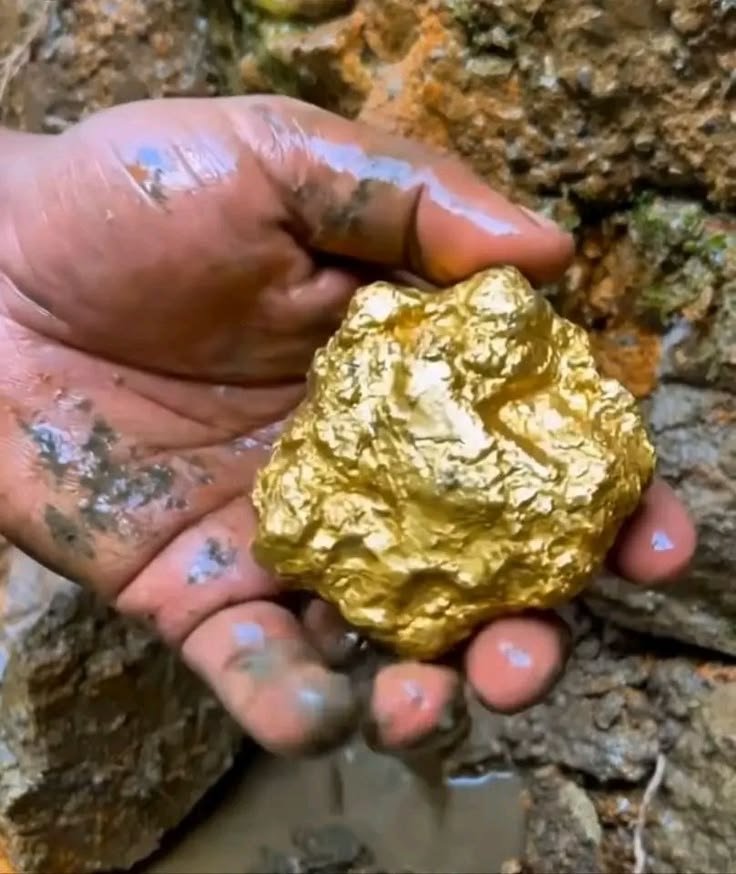 infinity gold mining limited, barrick gold stock, freeport gold, biggest gold miners, giant mine, first mining gold, new gold inc stock, gold mi, gold producers in the world, gold production world wide, hmy stock